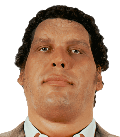 Portrait of Andre the Giant