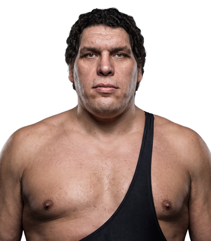 Portrait of Andre the Giant